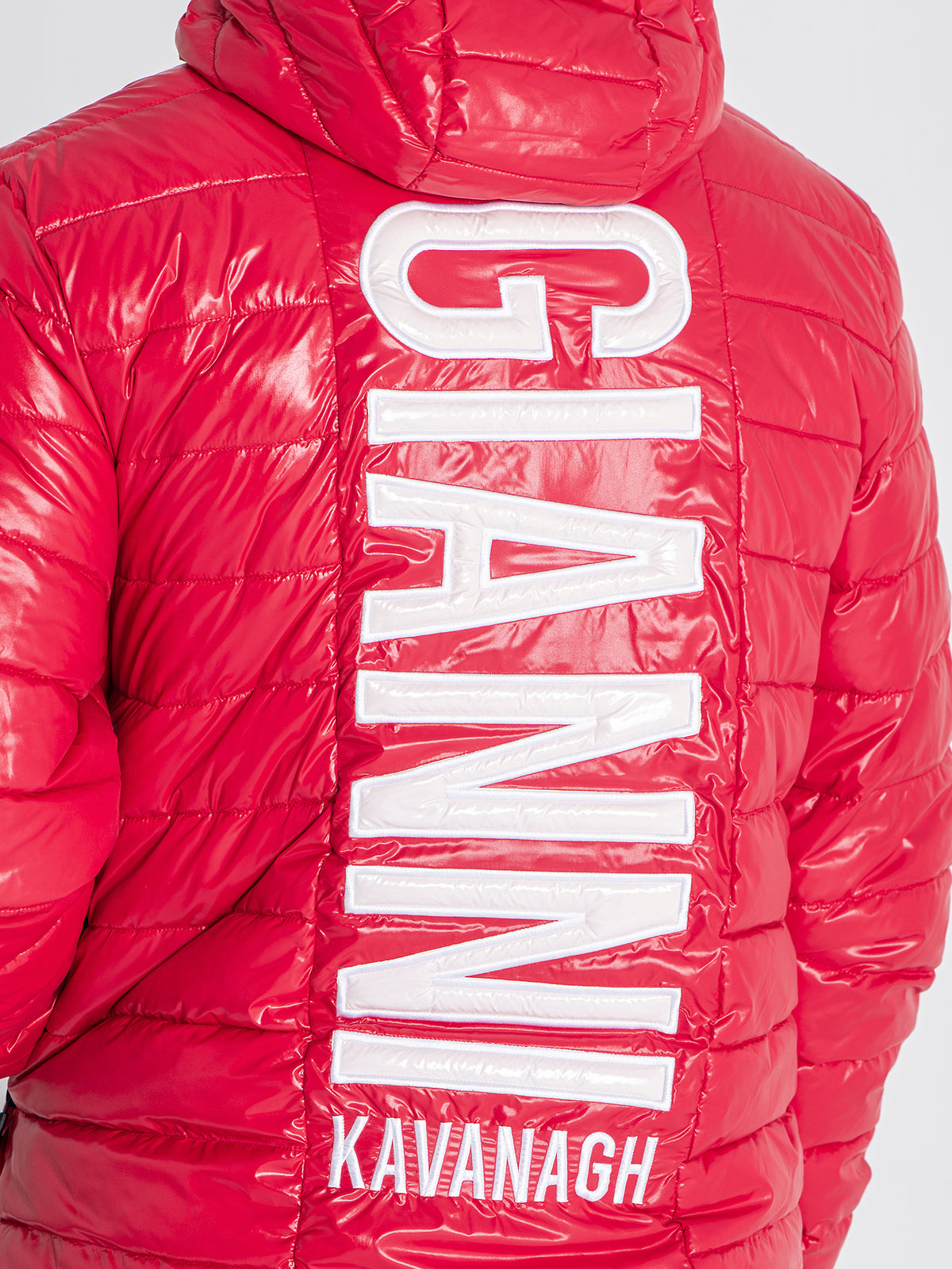 jackets / Red Team 2.0 Hoodie Jacket