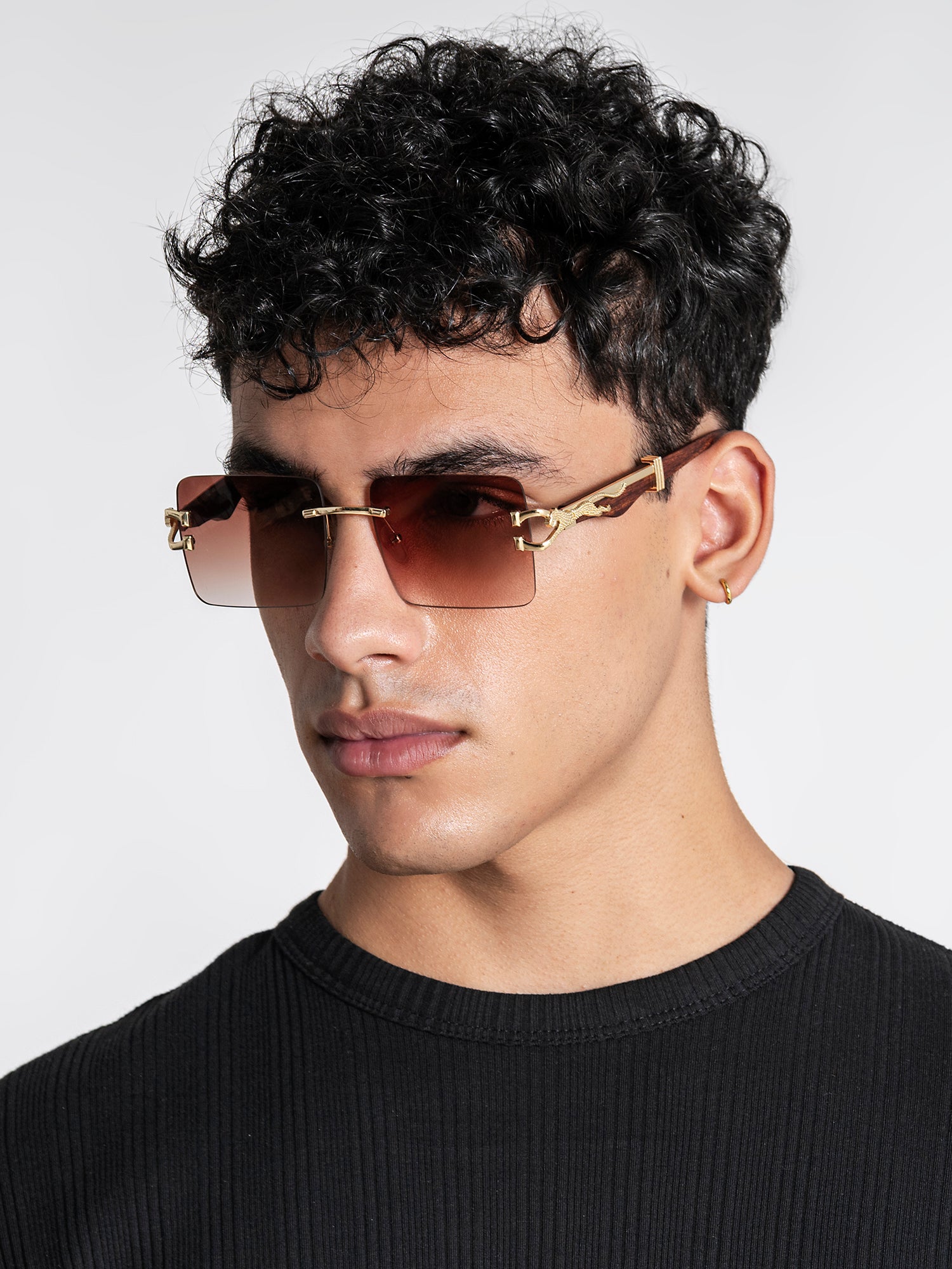 sunglasses / Gold Monarch Sunglasses