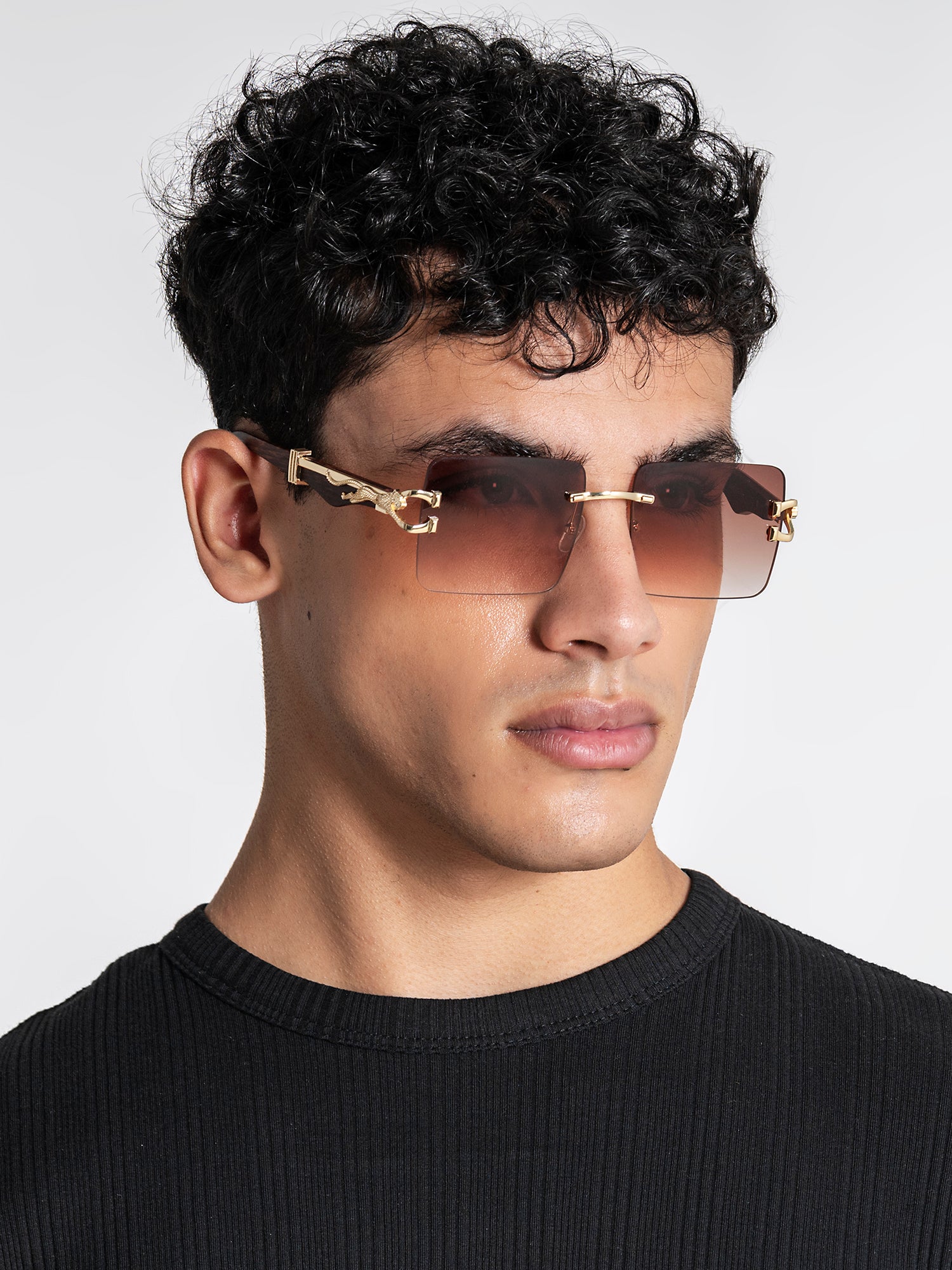 sunglasses / Gold Monarch Sunglasses